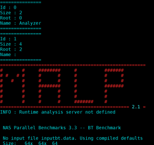 Console output when launching MALP on NPB